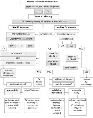 How to Monitor Cardiac Complications of Immune Checkpoint Inhibitor Therapy